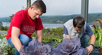 Students Gardening